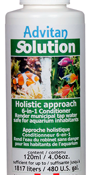 Advitan, Holistic Approach, 6-1 conditioner, Advitan solution, aquarium inhabitants, Photosynthetic, Phylum, Phyto Filtration, Phytoplankton, Pinnules, Pipe Run, Piscine: